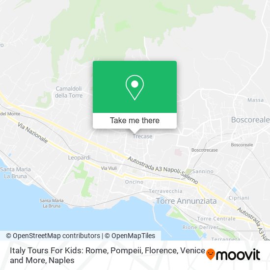 Italy Tours For Kids: Rome, Pompeii, Florence, Venice and More map