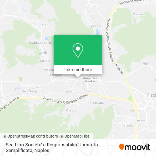 Sea Lion-Societa' a Responsabilita' Limitata Semplificata map