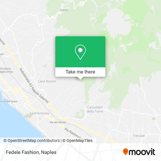 Fedele Fashion map