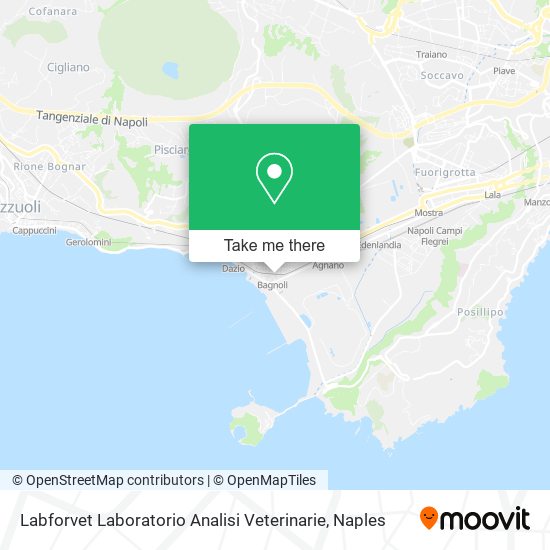 Labforvet Laboratorio Analisi Veterinarie map