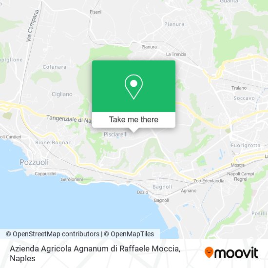 Azienda Agricola Agnanum di Raffaele Moccia map