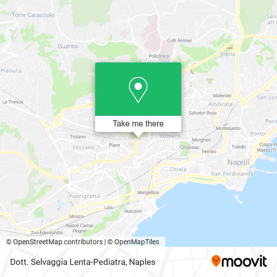 Dott. Selvaggia Lenta-Pediatra map