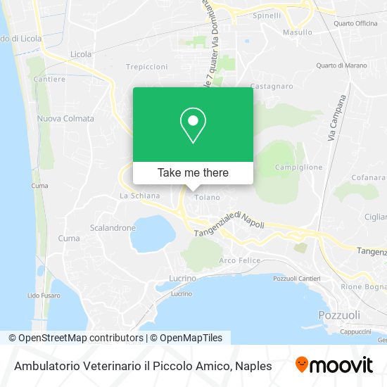 Ambulatorio Veterinario il Piccolo Amico map