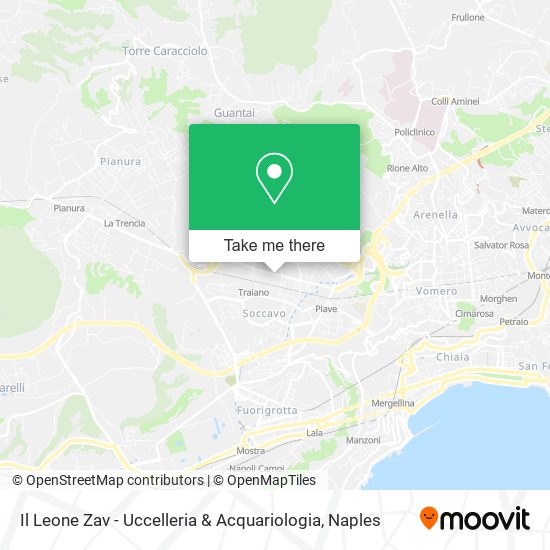 Il Leone Zav - Uccelleria & Acquariologia map