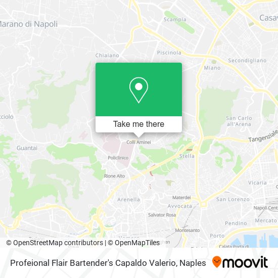 Profeional Flair Bartender's Capaldo Valerio map