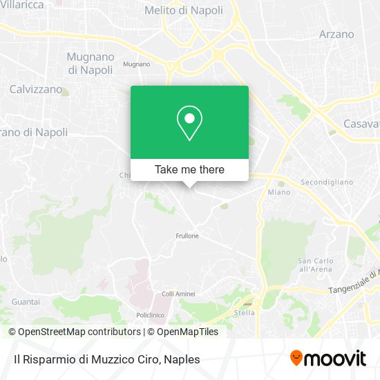 Il Risparmio di Muzzico Ciro map