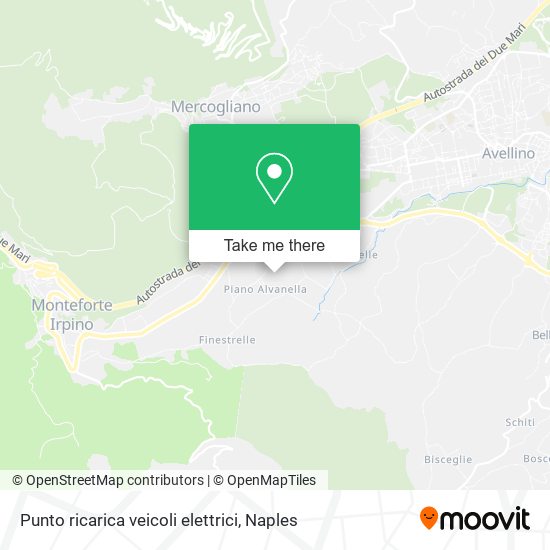 Punto ricarica veicoli elettrici map