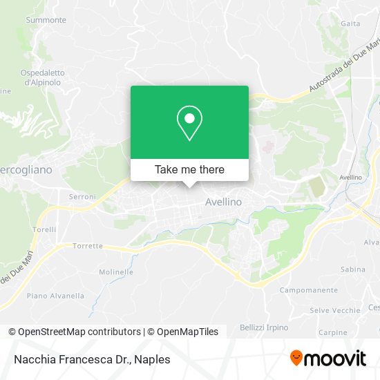 Nacchia Francesca Dr. map