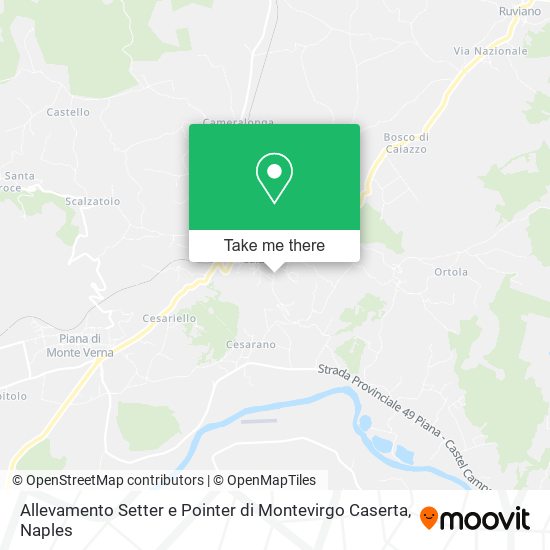 Allevamento Setter e Pointer di Montevirgo Caserta map