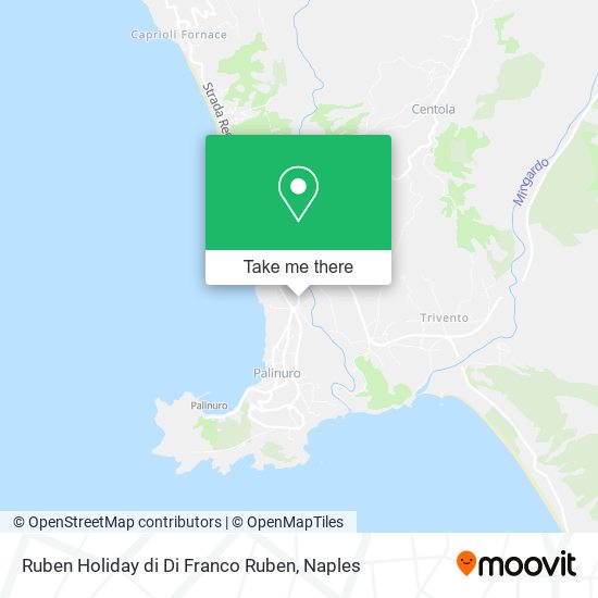 Ruben Holiday di Di Franco Ruben map