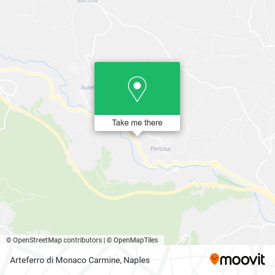 Arteferro di Monaco Carmine map