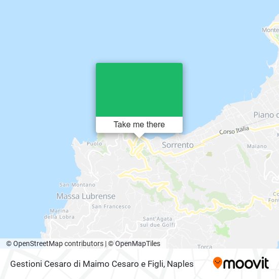 Gestioni Cesaro di Maimo Cesaro e Figli map