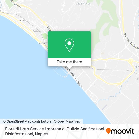 Fiore di Loto Service-Impresa di Pulizie-Sanificazioni-Disinfestazioni map