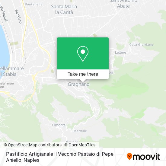 Pastificio Artigianale il Vecchio Pastaio di Pepe Aniello map