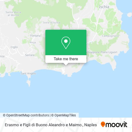 Erasmo e Figli di Buono Aleandro e Maimo. map