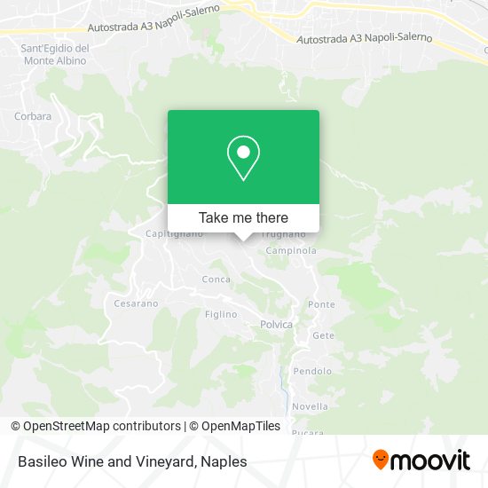 Basileo Wine and Vineyard map
