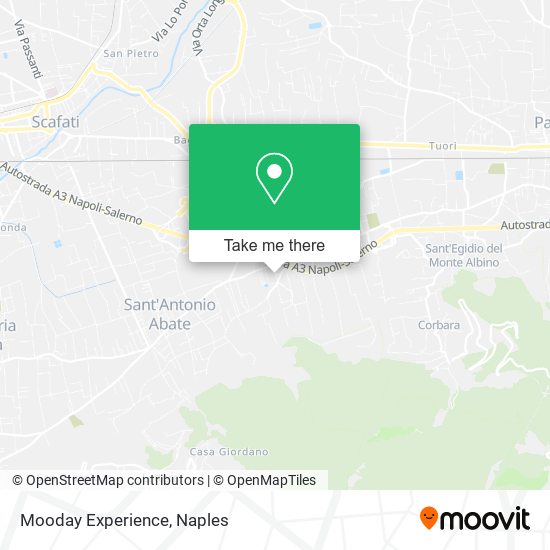 Mooday Experience map