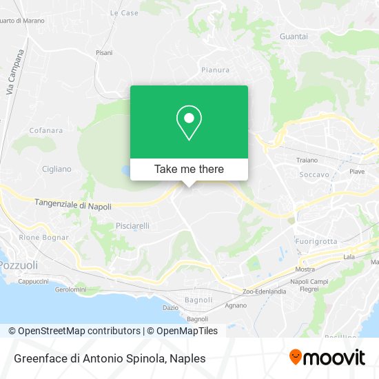 Greenface di Antonio Spinola map