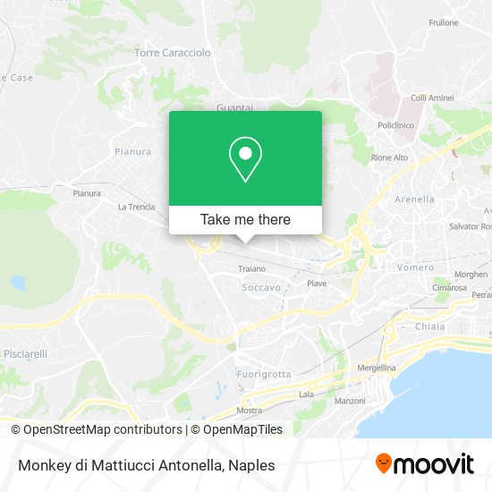 Monkey di Mattiucci Antonella map