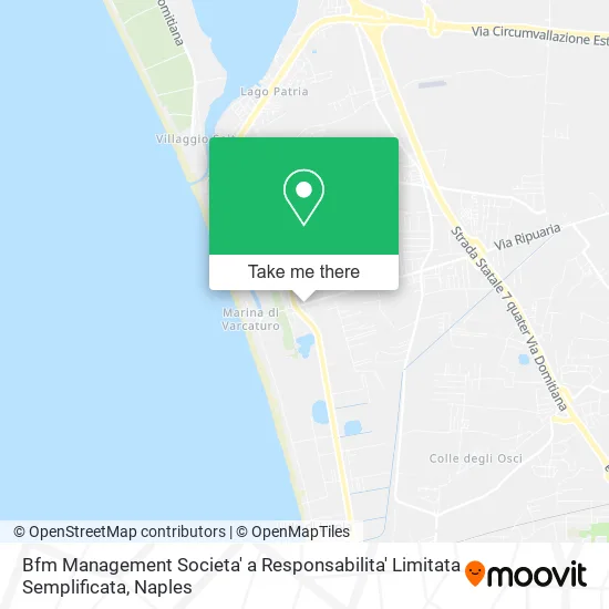 Bfm Management Societa' a Responsabilita' Limitata Semplificata map