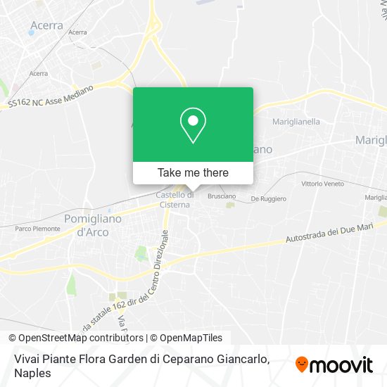 Vivai Piante Flora Garden di Ceparano Giancarlo map