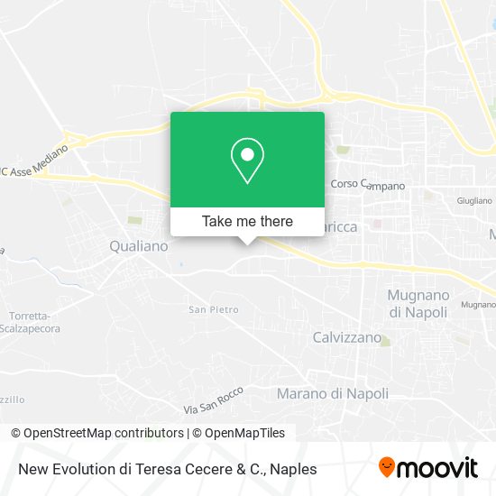 New Evolution di Teresa Cecere & C. map