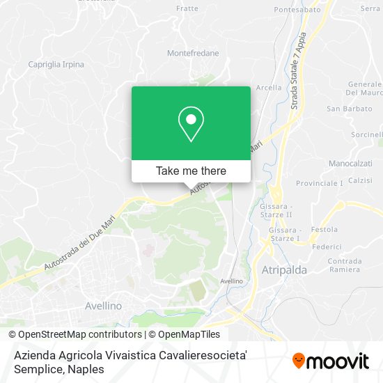 Azienda Agricola Vivaistica Cavalieresocieta' Semplice map
