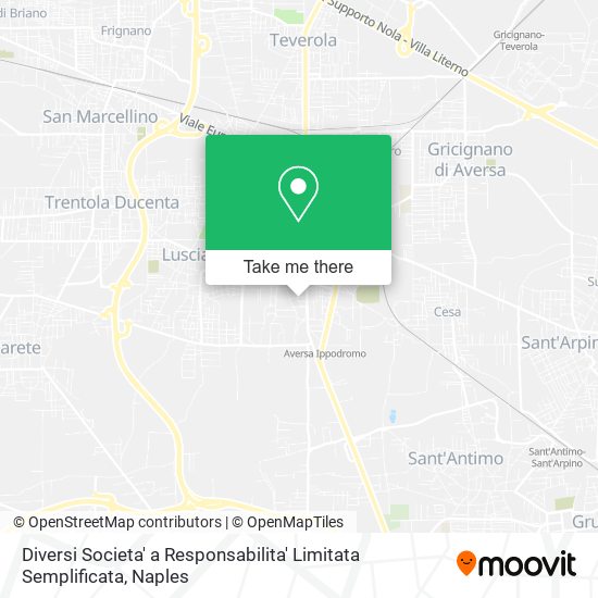 Diversi Societa' a Responsabilita' Limitata Semplificata map