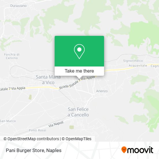 Pani Burger Store map