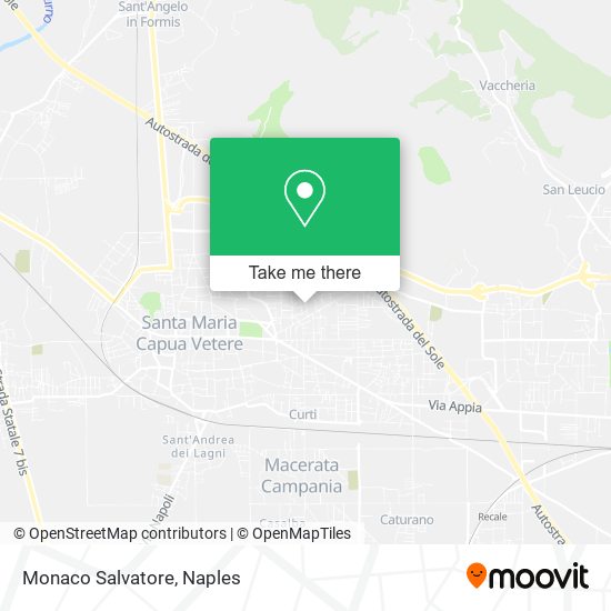 Monaco Salvatore map