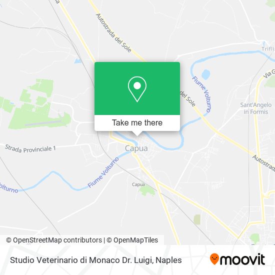 Studio Veterinario di Monaco Dr. Luigi map