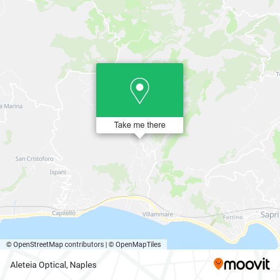 Aleteia Optical map