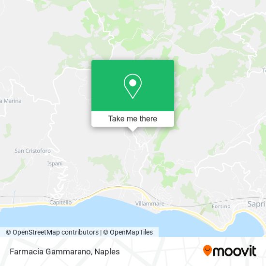Farmacia Gammarano map
