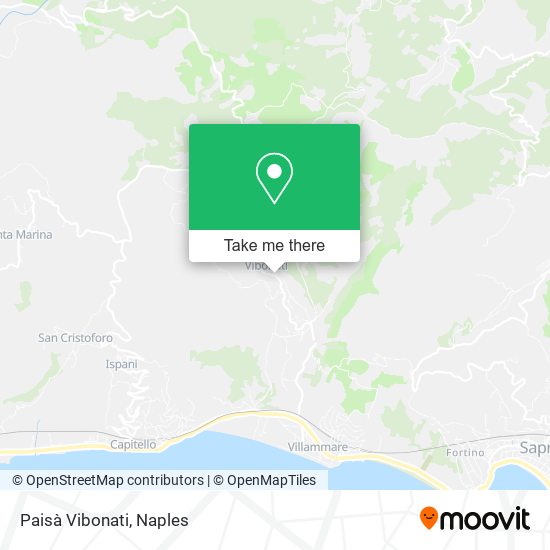 Paisà Vibonati map