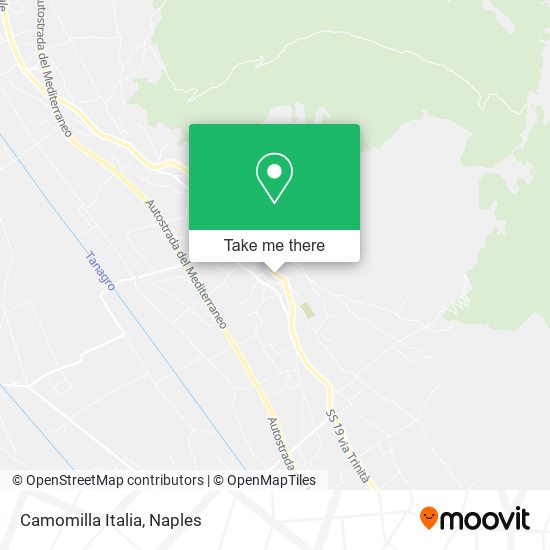 Camomilla Italia map