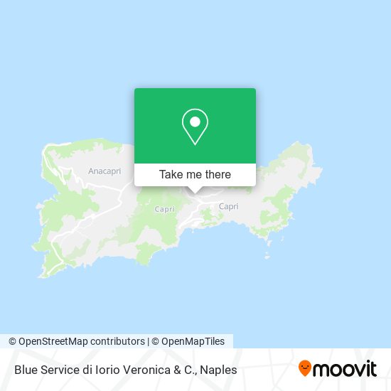 Blue Service di Iorio Veronica & C. map
