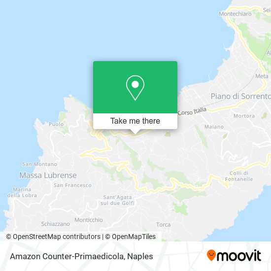 Amazon Counter-Primaedicola map