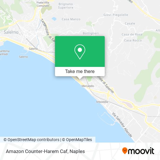 Amazon Counter-Harem Caf map