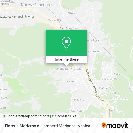 Fioreria Moderna di Lamberti Marianna map
