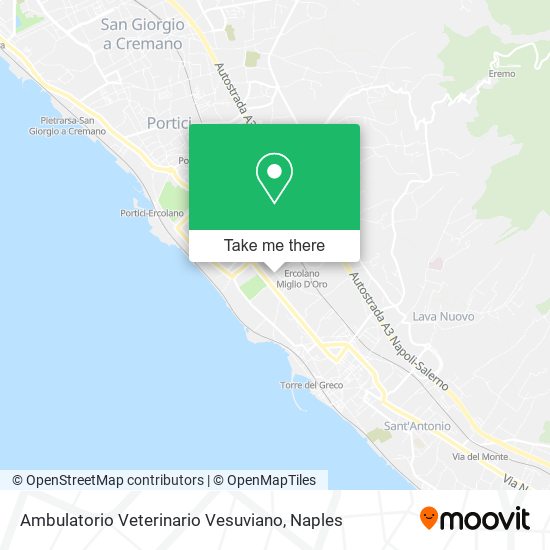 Ambulatorio Veterinario Vesuviano map