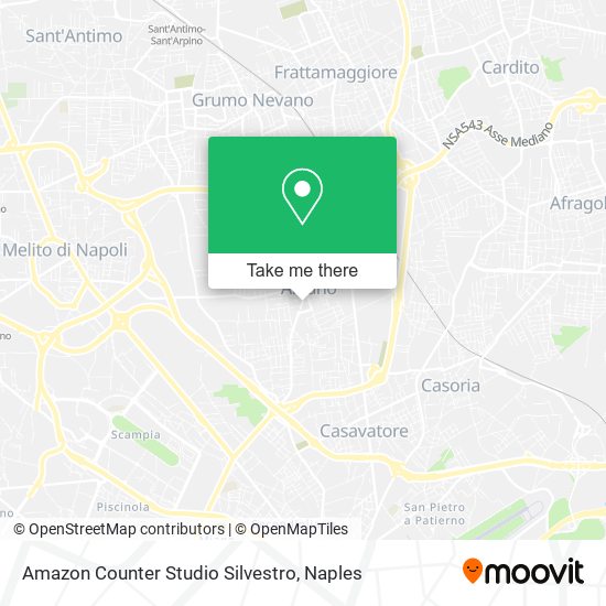 Amazon Counter Studio Silvestro map