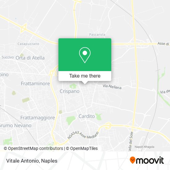 Vitale Antonio map