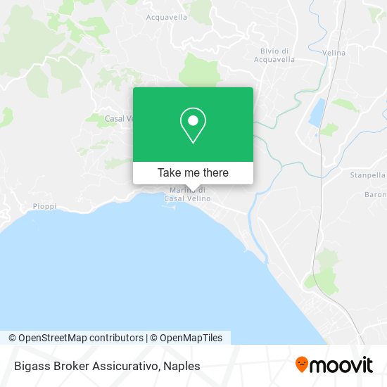 Bigass Broker Assicurativo map