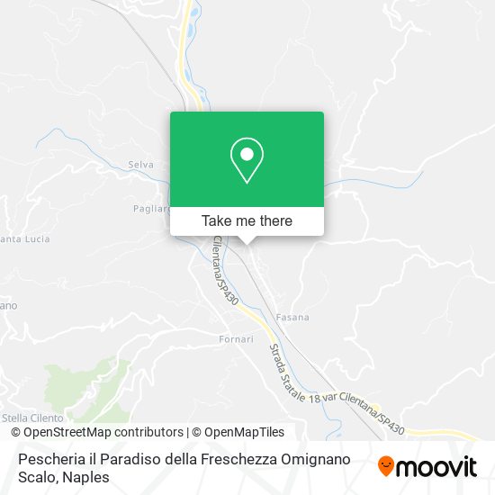 Pescheria il Paradiso della Freschezza Omignano Scalo map