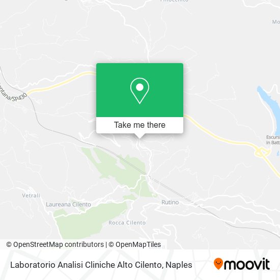 Laboratorio Analisi Cliniche Alto Cilento map