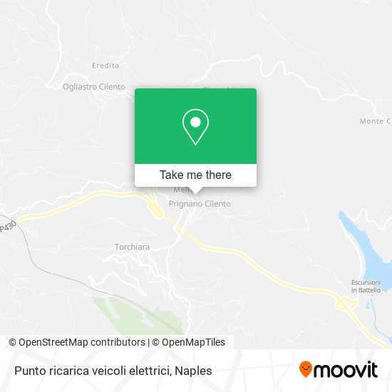 Punto ricarica veicoli elettrici map