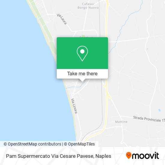 Pam Supermercato Via Cesare Pavese map