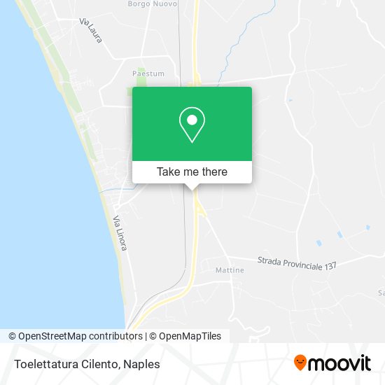 Toelettatura Cilento map