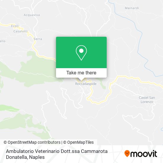 Ambulatorio Veterinario Dott.ssa Cammarota Donatella map