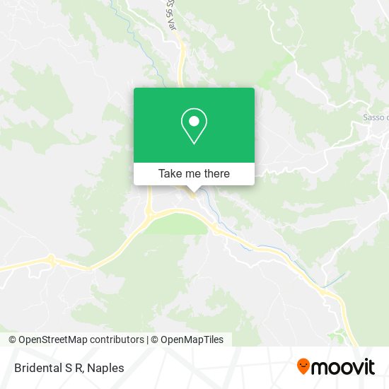Bridental S R map